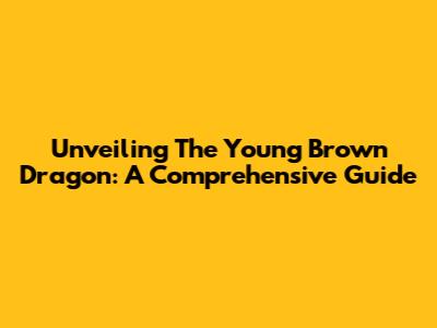 Unveiling The Young Brown Dragon: A Comprehensive Guide