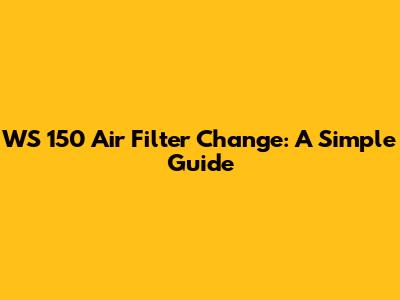 WS 150 Air Filter Change: A Simple Guide