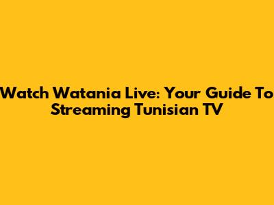 Watch Watania Live: Your Guide To Streaming Tunisian TV