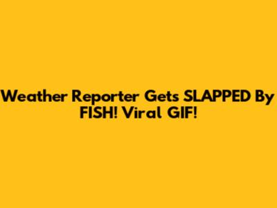 Weather Reporter Gets SLAPPED By FISH! Viral GIF!
