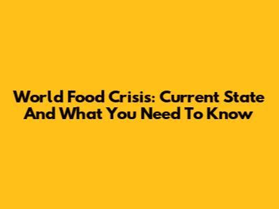 World Food Crisis: Current State And What You Need To Know