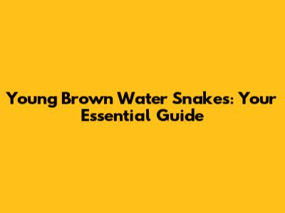 Young Brown Water Snakes: Your Essential Guide