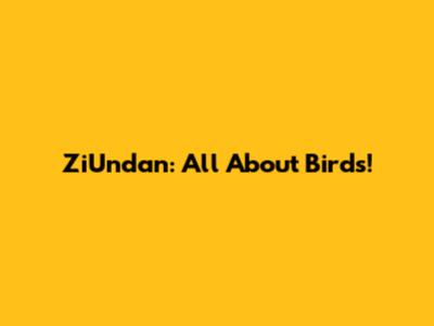 ZiUndan: All About Birds!