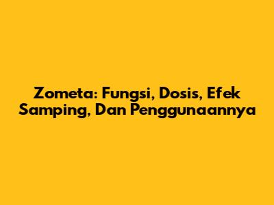 Zometa: Fungsi, Dosis, Efek Samping, Dan Penggunaannya